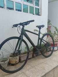 گرفل سكوت • شيمانو ٩×٣ • مقاس ٢٨