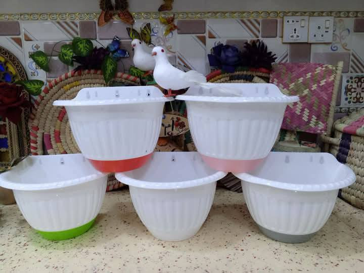 🪴🪴لتشجيع على الزراعه ازرع لو سندانه بسيطه🪴
🌹واكيد شكل زرع ثاني مع سندانه ذات الألوان زاهيه🎉
يغير من شكل زرعك و تشوفه شكل ثاني و اعطيته اكثر جماليه زين ركن بيتك و حديقتك 🌹
سويت لكم عرض وكميه محدوده
🎊 القطعه الف فقط 🎉
🪴وكل سنادين  نوعيه ممتازه 🪴
🚕توصيل كل محافظات العراق 🚕
🌹🪴الزرع لعرض فقط🪴🌹
لحجز على خاص 
***********
