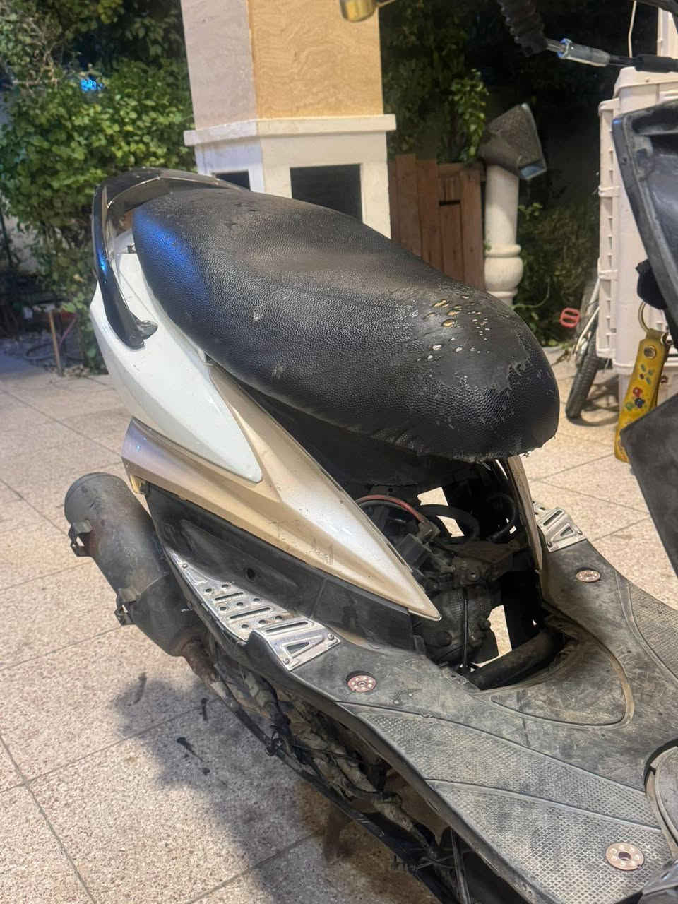 السلام عليكم سكنس فحل مكينه هاونن نكره سلف خير من الله قيم واخذ بل يرضه بي الله وبعض لأغراض موجوده مكاني بغداد حي العامل للاستفسار اكثر***********
