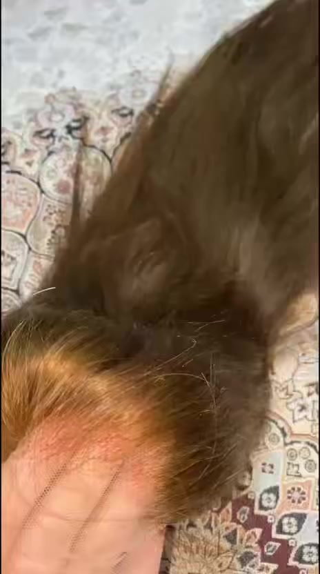 باروكة شعر طبيعي فل شبكة تنفرك كل الاتجاهات تنصبغ تنقصر تتشسور ضمان مدى الحياة


**إذا كنت صاحب هذا الإعلان وتريد حذفه لأي سبب، رجاءا أرسل رسالة إلى الدعم الفني**