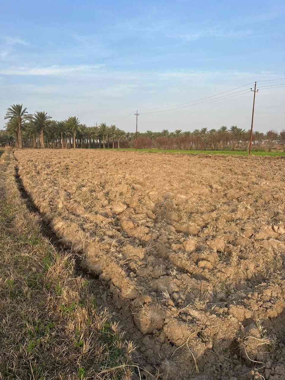 سلام عليكم ورحمة الله وبركاته
دونم الا سند زراعي 25 وجه بستان 2024 متر ترهم مزرعه وترهم سكن وجه 88 نزال 23 كهرباء ومي واصلها مكانها الفلوجه الشهابي خلف معمل الحراريات السعر
30 وبيها مجال بسيط 
***********
