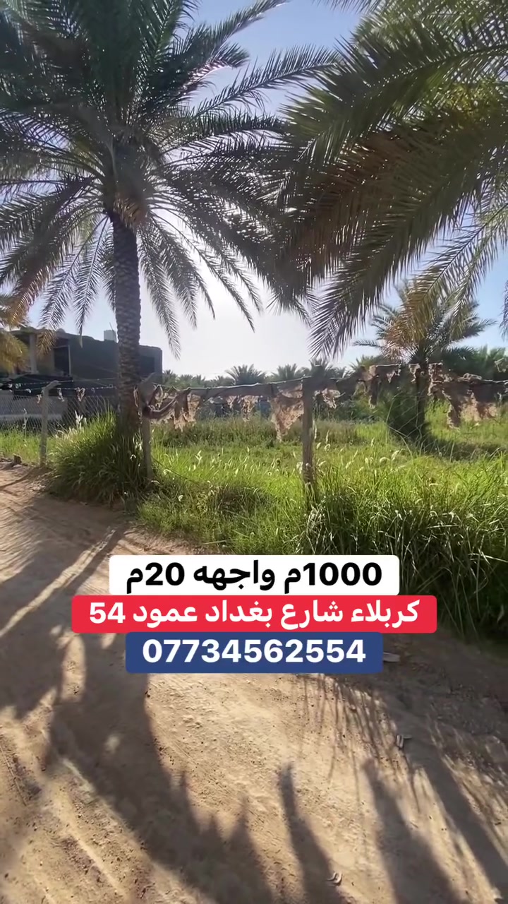***********
قطعة ارض المساحه 1000م واجهه 20م 
طابو زراعي سند 25 اقرار من صاحب الارض
العنوان / كربلاء شارع بغداد عمود 54 الشارع الرابط بين شارع بغداد وشارع فندق البارون
