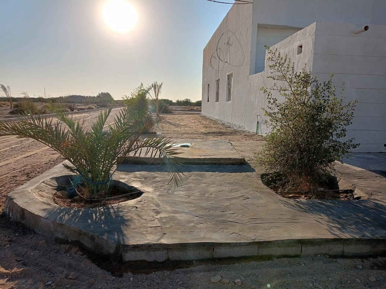 اللهم صلِّ على محمد وآل محمد
#مزرعه_مع_ثلاث_بيوت_للبيع

(المساحه.. 6 دوانم على التبليط)

واتساب فقط ***********

السعر//155 وقابل للتفاوض 

(العنوان.. الخور بعد سيطرة الخويسات بمسافه جاهزه للسكن) 

* المزرعه سته دوانم محكمه ببوابه وسياجات واشجار

تحتوي على نخل بنوعيات مختلفه وتحتوي على اشجار

1//البيت الاول..

اربع غرف نوم وصاله وموزع

وديوان كبير 10متر ومطبخ

صحيات داخليه وخارجيه 

وطارمه معزوله

2//البيت الثاني.. 

غرفتين نوم وصاله ومطبخ

وصحيات داخليه وخارجيه

وطارمه معزوله

3//البيت الثالث نفس التصميم كامل وجاهز

للاستفسار 0788221313
