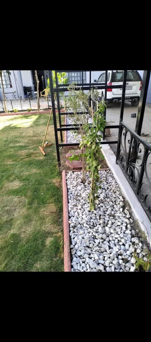 السلامه عليكم يوجد كادر عمل  ديكورات حدايق وزراعه وفرش زميج  كادر جاهز ومتفظي الرقم ***********
