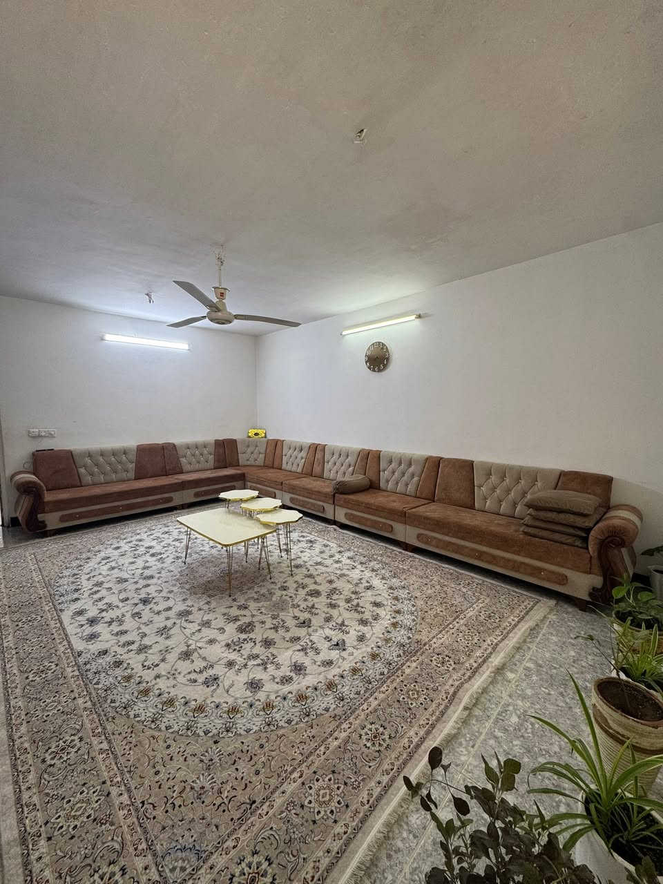 بۆ زانینی نرخ  پەیوەندی بەم ژمارەیەوە  بکەن یان مەسج بکەن وەڵام ئەدرێتەوە.✨{***********}
