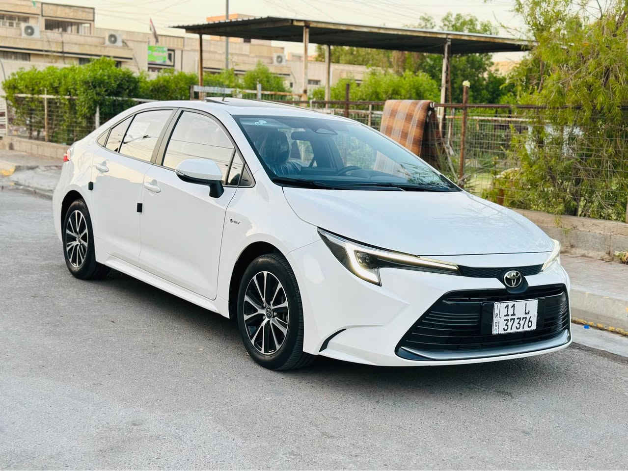 السلام عليكم للبيع 🌹🌹
كورلا موديل 2025 تجميع صيني 
♻️فول مواصفات عدا الكشن مو كهرباء
♻️بصمه تشغيل وابواب
♻️سلايت
♻️شاشه جبيره
♻️كامره 
♻️تحكمات ستيرن 
♻️اوتو هولد 
♻️سايد بريك دكمه 
♻️لايت زنون 
♻️لد امامي 
♻️ويل كروم 
♻️رادار امامي وجانبي 
♻️تبريد قطعتين 
♻️ماشيه 11 الف  مكفوله من الصبغ والحادث 
عدا بارد بسيط كد اربع اصابع  السياره جديده وجاهزه

السعر 154 ورقه الشراي يتفضل 
***********
***********
***********           
                                   العنوان فلوجه 🤍 الفلوجة, الأنبار
