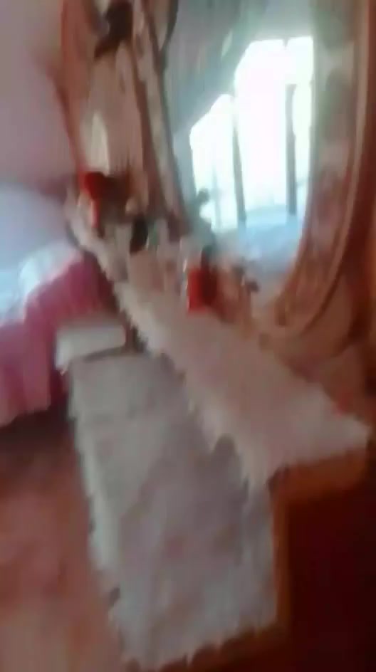 غرفه صاج نضيف كلش للبيع ب450قفل
ديوان ،10مقاعد نضيف للبيع ب170قفل 

عنوان خالص تحويله


**إذا كنت صاحب هذا الإعلان وتريد حذفه لأي سبب، رجاءا أرسل رسالة إلى الدعم الفني**