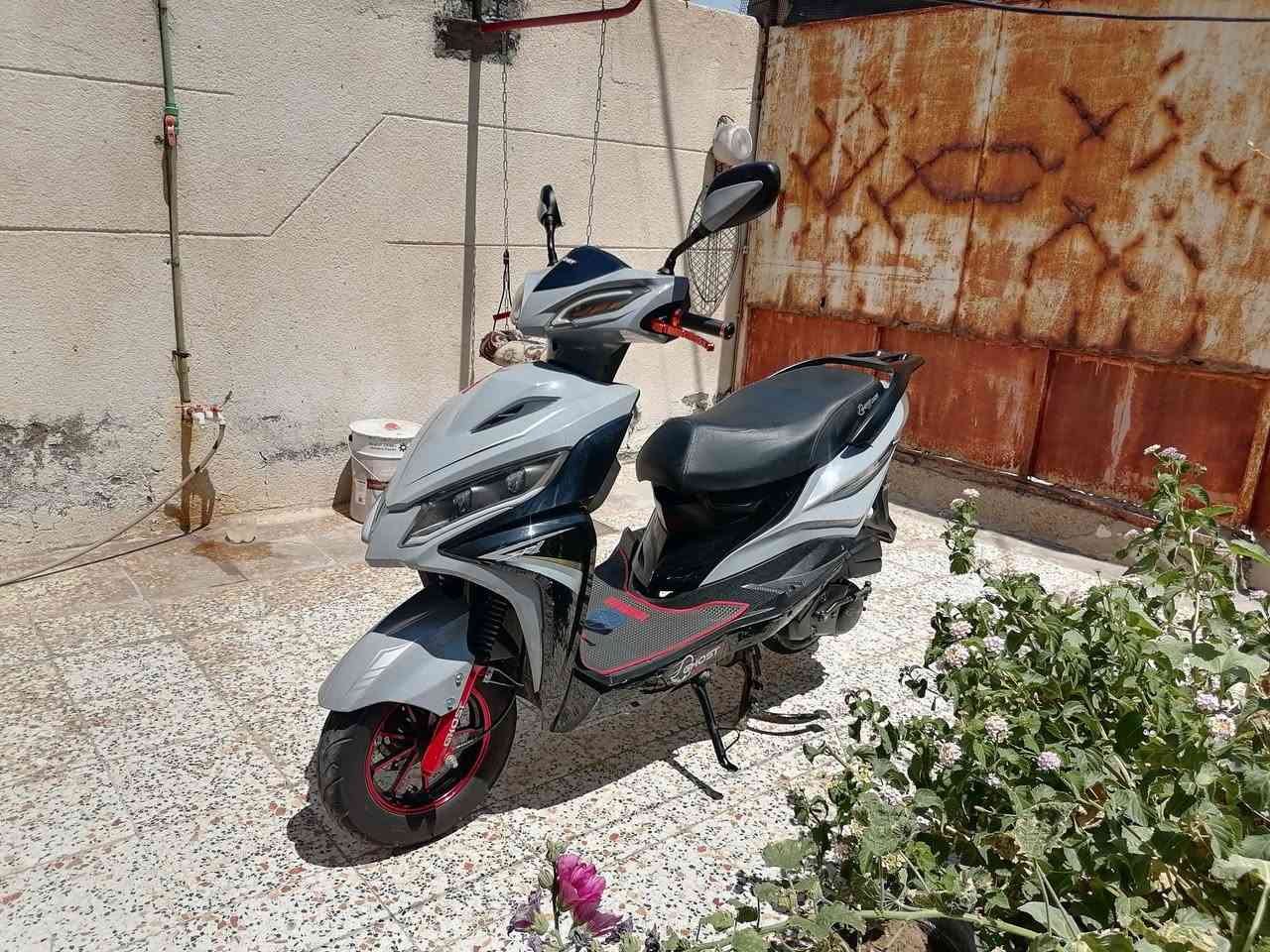 للبيع فقط دراجه سكنس لد  موديل 2025  ‪نظيفه و مرتبه ماناقصها اي شي كامله مكينه خرسه ناعمه كلش  ريشه بالمشي مامفتوحه الدراجه بلاديه بصمه تشغيل وقفل عن بعد وحمايه ضد السرقه الدراجه جديده بحالة الوكاله
المكان /ابوالخصيب _العوجه
 واتساب  ***********‪
