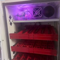 فقاسة • جديدة • كربلاء حي العامل