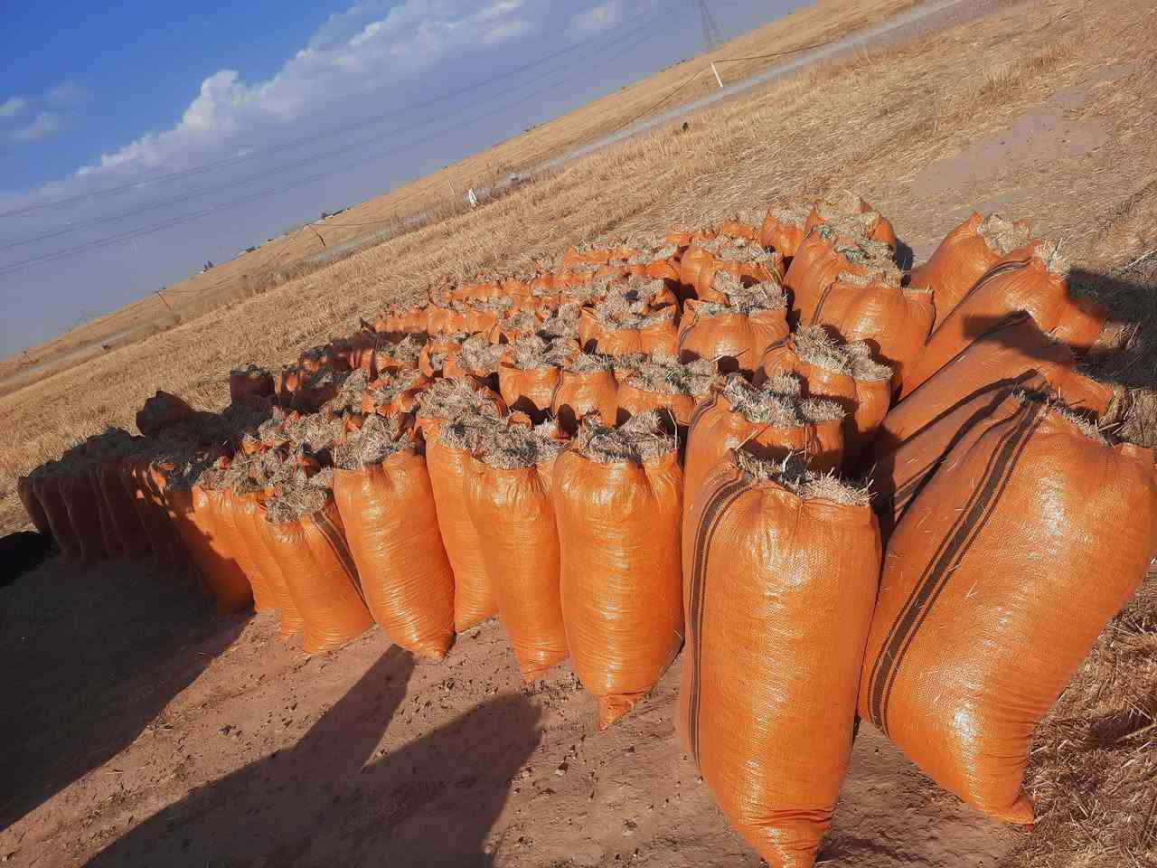 يوجد تبن درجة اولى تبن مال السنة تبن نظيف فول ترس درجة اولى الزوج 2500بل مكان يوجد خدمة توصيل لجميع المحافظات***********
