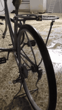 سلام عليكم عبد الحليم للبيع مصبوغ جديد البيسكل كلشي مينرادله سعر35بي مجال


**إذا كنت صاحب هذا الإعلان وتريد حذفه لأي سبب، رجاءا أرسل رسالة إلى الدعم الفني**