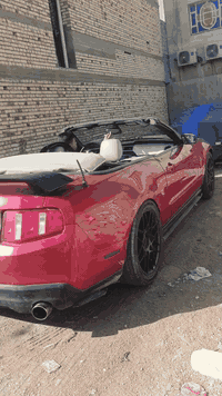 سلام عليكم موستنك كشف ادوات  مديل ٢٠١٠  بدون كص متومه طبق الصل شرط رقم وسنويه طالع من مرور اربيل كير مكينه البدي كلش حلوات الكشف شغال تخم تاير قياس ٢٠ حداده نص عمر  دواخل بل كارتون مابيه كل نقص فقط شي بصيط غسلته من جوه ول والكيلو متر بقه يعلك  
بيع او مراوس مكاني بصره سعر ٤٨ وبيه مجال 
***********
