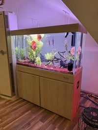 حوض ١٢٠×٥٠×٦٠ • سامب كانستر • اربيل