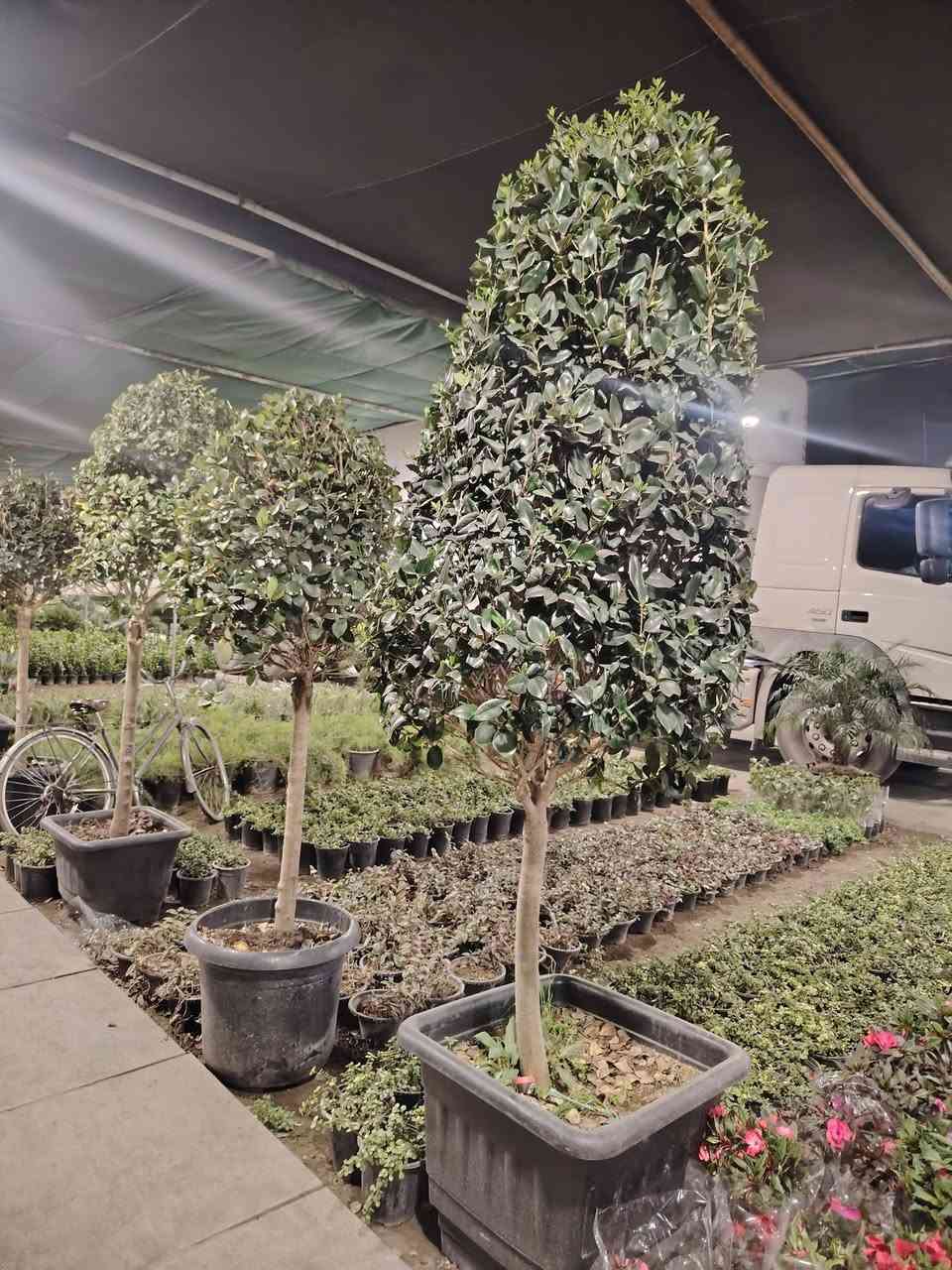 مشتل تبارك التصاميم الحدائق *********** /*********** باداره ابو علي
