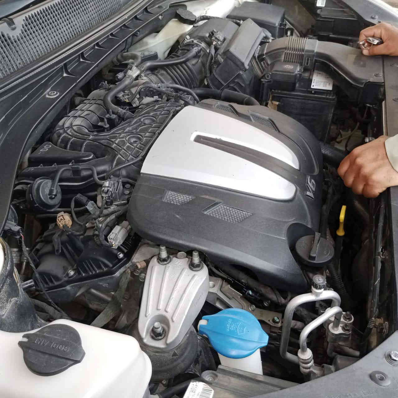 سورنتو موديل ١٦ مكفوله كفاله عامه خليجي رقم بغداد فول تلفون***********
