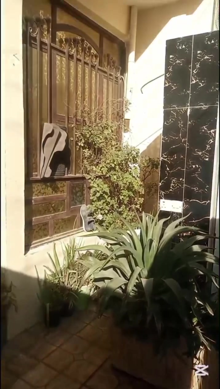 بيت100 للبيع ابضهر ابو عمر البنجرجي المخابرات الاستفسار على الرقم ***********
