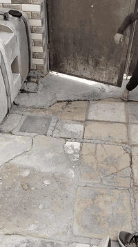 تانكي كاز 520لتر لبيع مكانه نجف سعر 500الف كونترول كرين هياب 10طن هم ينباع الستفسار ***********
