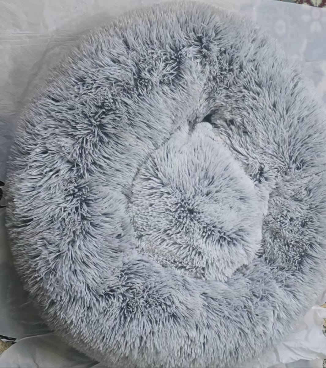 غراض للقطط شسوار مشط وتجفيف ومكينه وملابس واحذيه وفرش حيل جبير


**إذا كنت صاحب هذا الإعلان وتريد حذفه لأي سبب، رجاءا أرسل رسالة إلى الدعم الفني**