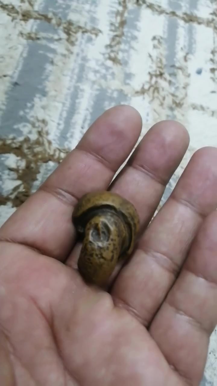 حجر قديم جدا للبيع مشروط عنوان البصره الزبير


**إذا كنت صاحب هذا الإعلان وتريد حذفه لأي سبب، رجاءا أرسل رسالة إلى الدعم الفني**