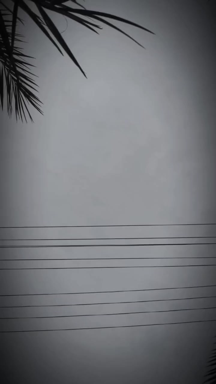 دراجه نامه شلامجه موديل 22 سنويه للبيع ...


**إذا كنت صاحب هذا الإعلان وتريد حذفه لأي سبب، رجاءا أرسل رسالة إلى الدعم الفني**