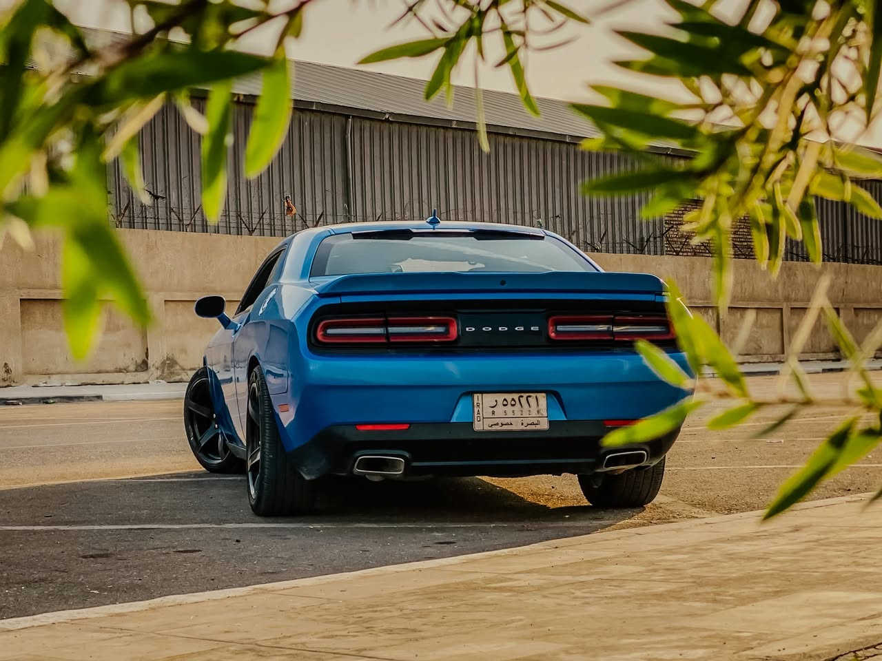 دودج جالنجر 2015 SXT Plus للبيع
🔹 اللون: مميز ونظيف
🔹 الحالة: ممتازة وجاهزة من كل شيء
🔹 الممشى: فقط 66 ألف

السيارة خالية من الحوادث ومكفولة، الهيكل والدواخل سليمة 100%.

المواصفات:
 • مقاعد جلد مع تدفئة وتبريد
 • تدفئة ستيرن
 • نظام Super Track Pack – SRT أصلي من الشركة
(فلنجات، دسكات، قير، أكسل – قطع وتصميم SRT)
 • أداء ومواصفات أعلى من أغلب فئات الـ V6

💰 السعر: 19,000$
📉 قابل للتفاوض البسي

***********
