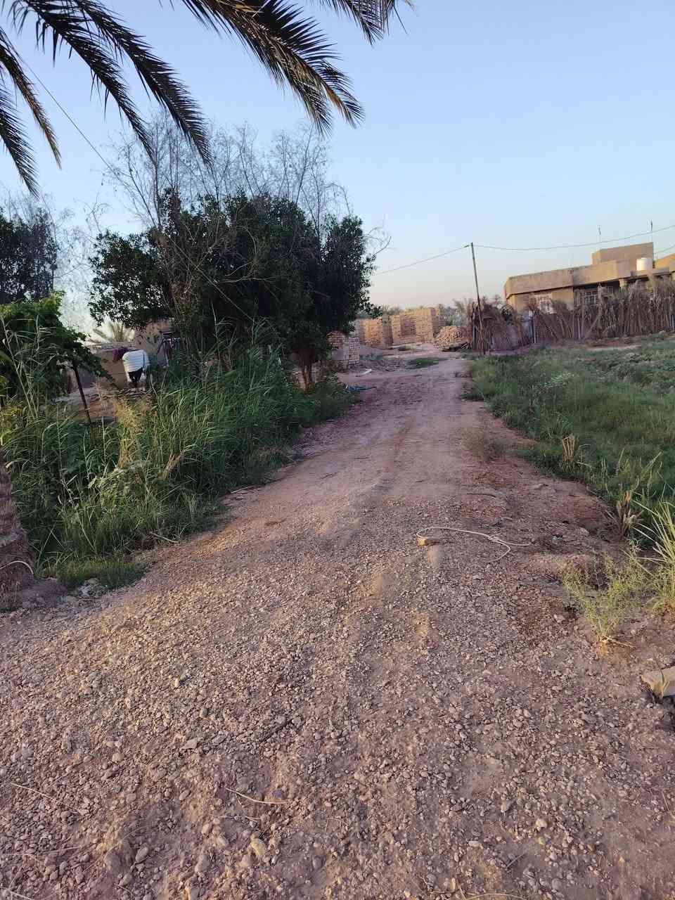 سلام عليكم دارين للبيع  البيت الاول يحتوي على غرفتين نوم ومطبخ وحمام وهول والدار الثاني هيكل المواد مالته كامله شيش ورمل وحصوه ويحتوي على غرفتين نوم ومطبخ وحمام وهول واستقبال المساحه 1960.     الدار الاول جاهز للسكن لاتفوت الفرصه التواصل على هاذه الرقم         ***********
