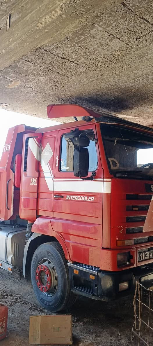 كلاب للبيع اسكانيه 113 موديل 95 تفاصيل اتصال ع رقم ***********
