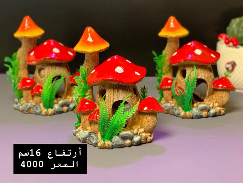 ✨ جديد وحصرياً في بيج فيروزة ✨

وصلتنا مجموعة مميزة وجميلة من الأكواخ بأشكال متنوعة تجنن 😍  
مناسبة للزينة داخل أحواض الأسماك، التيراريوم، أو حتى كديكور أنيق يضيف لمسة حلوة 🌿🐠

📏 القياسات والأسعار موضحة داخل الصور  
🚚 توصيل متوفر لجميع المحافظات  

لا يفوتكم الجمال ✨  

#فيروزة #اكواخ_زينة #احواض_اسماك #ديكور_منزلي #تيراريوم #زينة_احواض #سمك_زينة #بغداد #العراق #ديكور #افكار_منزلية #نباتات #اكسبلور_فولو_ي_حلو🔥😴


**إذا كنت صاحب هذا الإعلان وتريد حذفه لأي سبب، رجاءا أرسل رسالة إلى الدعم الفني**