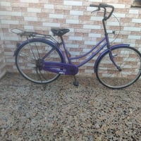 بايسكل سياحي • بصرة • حي للأصدقاء