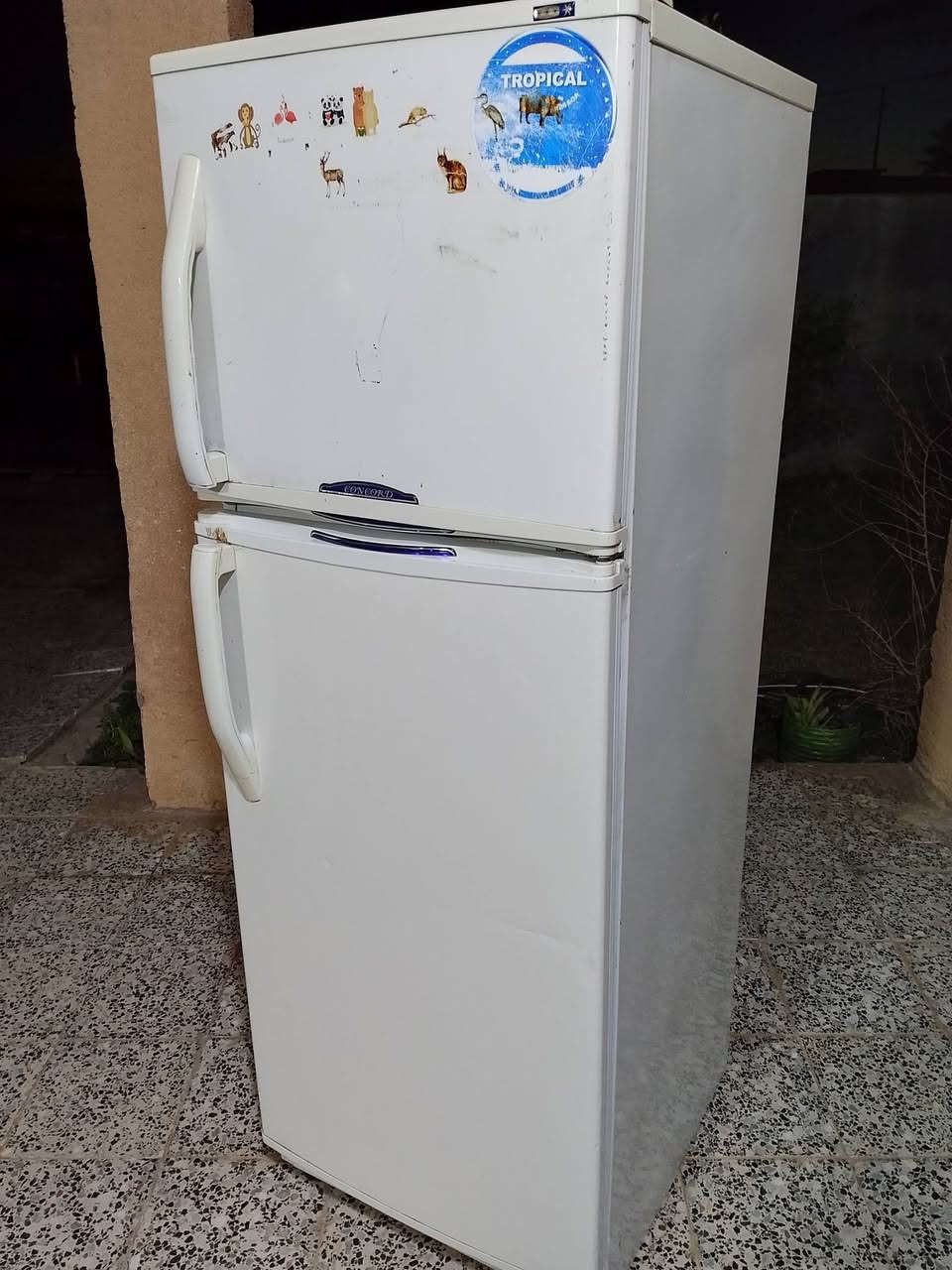 السلام عليكم ثلاجة مستخدمة للبيع نوع كونكورد البناني معروف هالنوعيه اصلي شرط النضافه و التجميد حجم كبير ما اعرف لو 20لو 22 اي عيب مابيها السعر 200 وبيها مجال تجي تشوفها وتدلل العنوان ناحية الصينية


**إذا كنت صاحب هذا الإعلان وتريد حذفه لأي سبب، رجاءا أرسل رسالة إلى الدعم الفني**