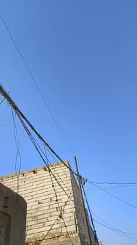 باسكل 2022 • زيتوني • نجف