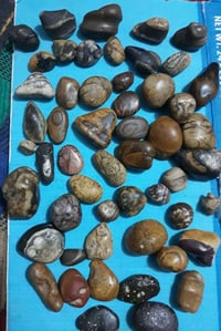 للجملة • مو مفرد