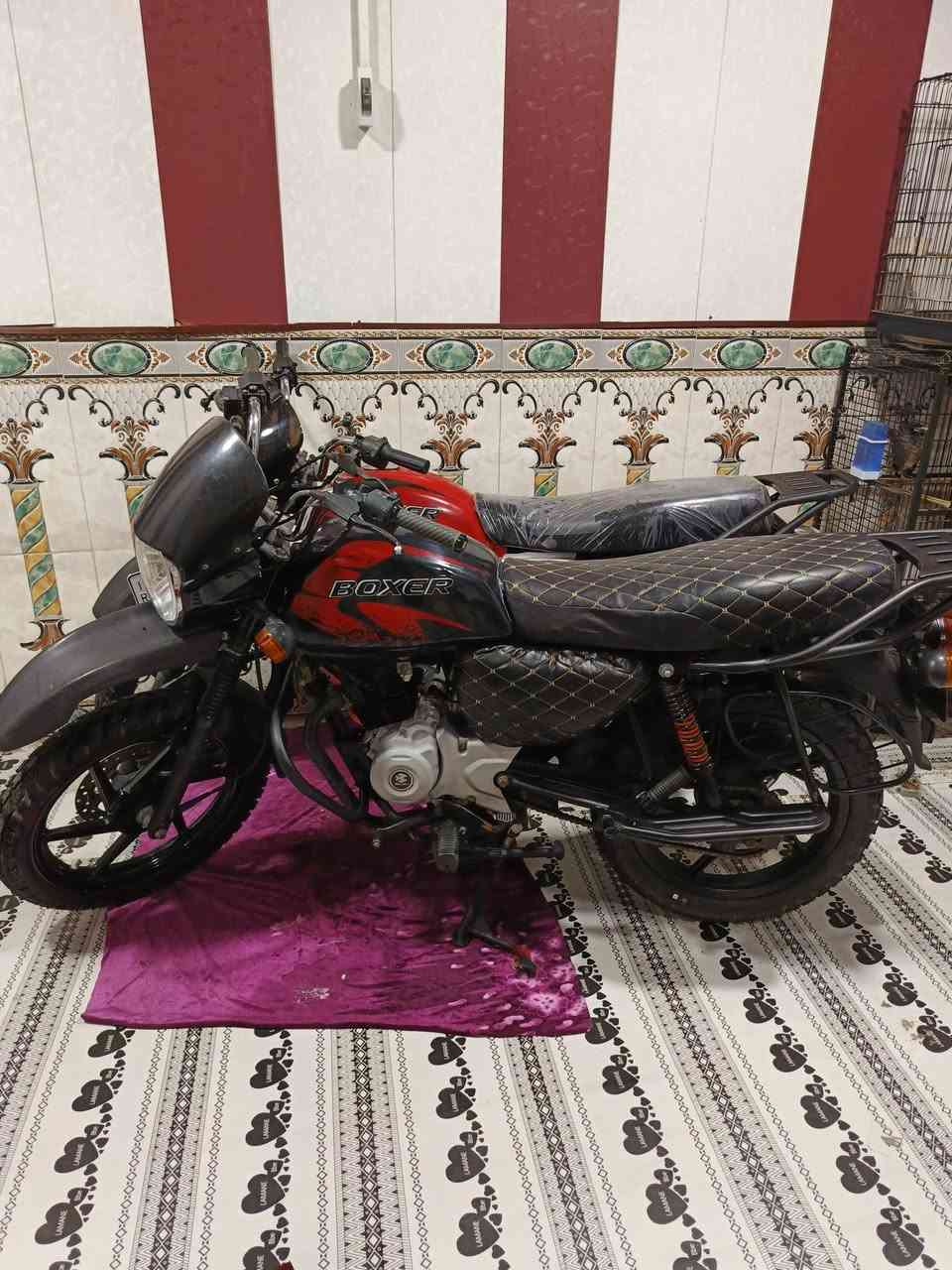 بوكسرات فحل المديل 23رقم نكليزي مفتوحات تجفيت الصلي بيدي اشتغل كاملات ماكو اي نقص سعر السوده مليونين والحمره مليون و800 وبيهن مجال مكاني شط العرب الفيحاء يم جسر خالد ***********
