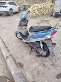 منغولي • مكفوله • مستعجل