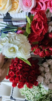 ورد الجوري • بيبي روز • توصيل جميع المحافظات