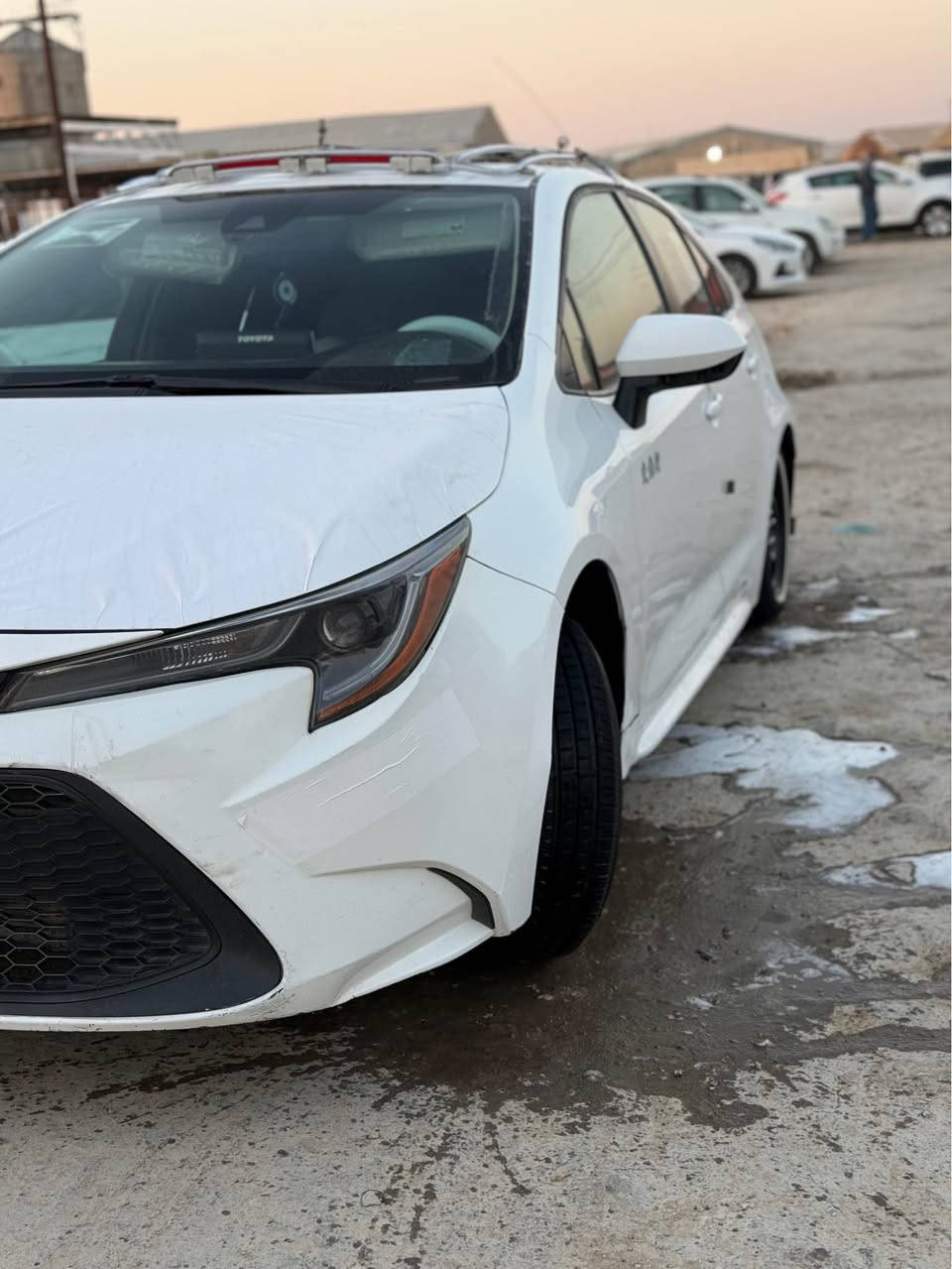 كورلا 20معوقين باقي ٧ تشهر وصير حره رقم بغداد بيها جاملغ وبنيد سياره حلوه وجاهزه تحويره وسوبايه ودوشمه وكامله على اخير لبيع أو مراوس مكانها ديوانيه ب138 *********** ديوانية, القادسية
