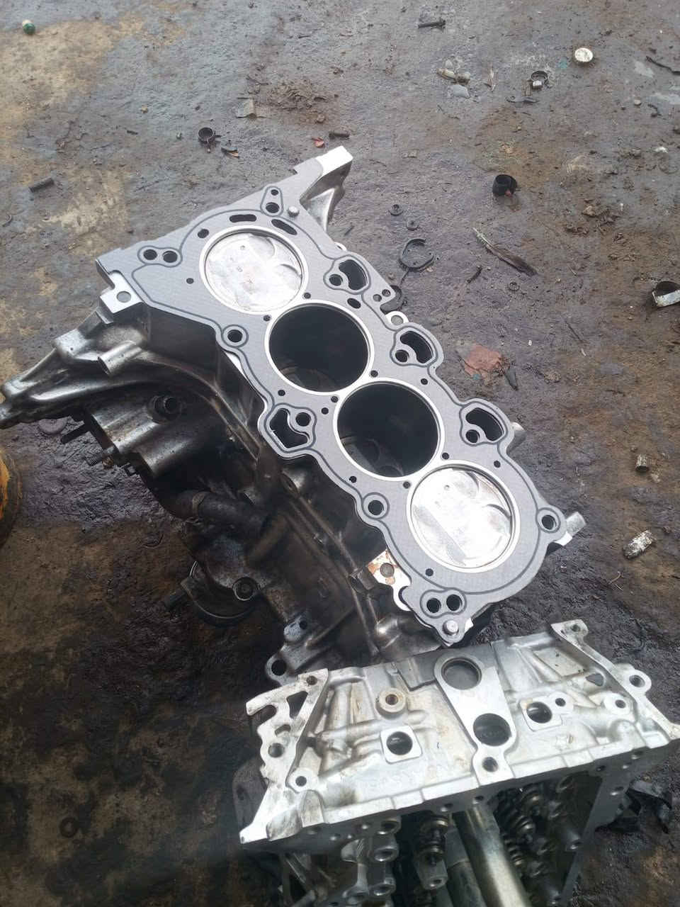 فيترية سيد مرتضى
لتجفيت كافة أنواع السيارات 
بانزيخانة الشموس مجاور العيساوي ابو سيراميك
***********
تم تبديل كازكت مع كص الكور والسلندر وتبديل تخم براص بيرن بكن وتخم وأشر وغسل سياره النترا 2017امريكي
