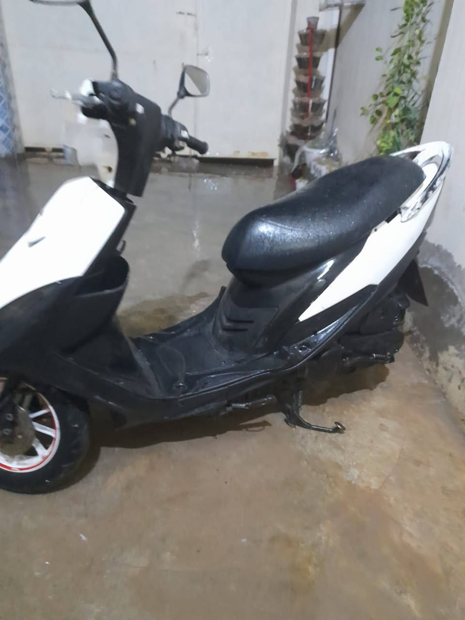 سلام عليكم ماكس عدله 49 للبيع كلهه شغاله بس سلف مدري شخاطه مدري سلف مكاني بعقوبه الجديده سعر 575 وبيه مجال الاستفسار  ***********
