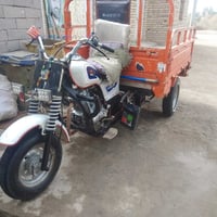 ستوته • مديل ٢٠ • سوك شيوخ كرمه