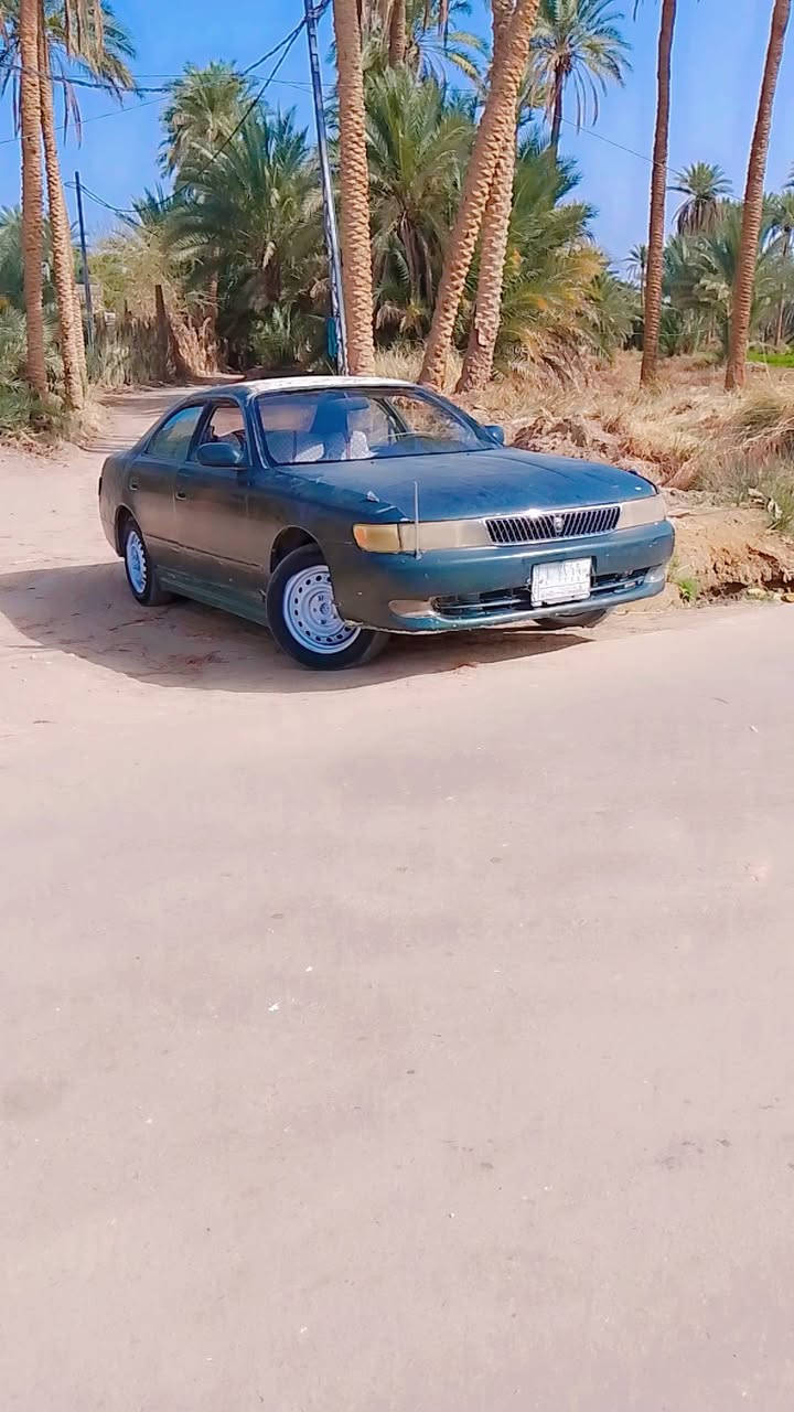 سلام عليكم شيزر نفخ مكفوله من كص ومداور ثاني يوم مكينه كير  جدد سنويه صاقطه مكاني نجف سعر 32عوزها شويه ترتيب تواصل ***********او مراوس
