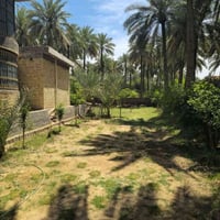 بيت مع الحديقه  للبيع مستعجل على بيع تفاصيل  تتواصل على رقم 0782720901...