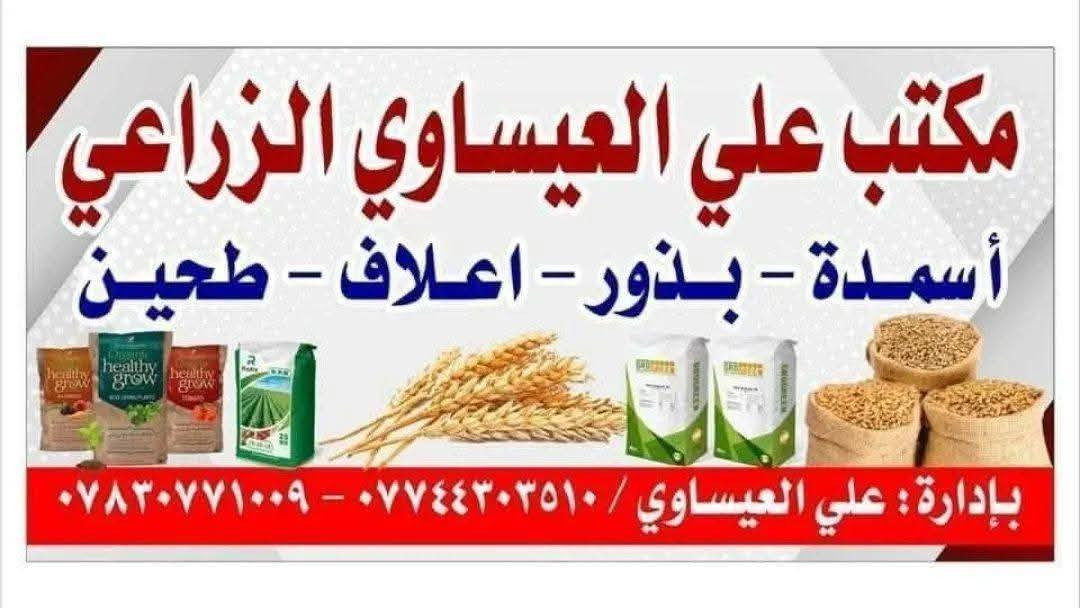 السلام عليكم ورحمة الله وبركاته 
يتوفر لدينا بذور حنطه مغلفات أدنه تركي
  (  #شركه #روفه )
صنف #مبكر 
إنتاج ٢٠٢٤
درجه اولئ
خاليه من جميع الشوائب 
للاستفسار الاتصال
***********
بابل قضاء الكفل 
كراج بني مسلم
