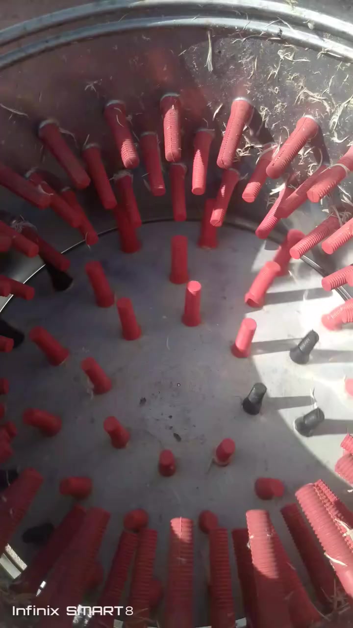 سلام عليكم من رخصة الادمن غراض محل دجاج مكينه هلاسه كهربائية شغاله جديده نضيفه كلش وثانيه يدويه 
وقفص مال دجاج طابقين وسنك ومذبح غراض نضيفه حيل. لمكينه هلاسه كهربائية 450الف. ول هلاسه يدويه 150الف 
ول قفص 150الف تفصال  ول مذبح ول سنك 35الف ول شراي كلهن 750الف بيهن مجال قليل عنواني البصره الجنينة وهاذا رقمي ***********
