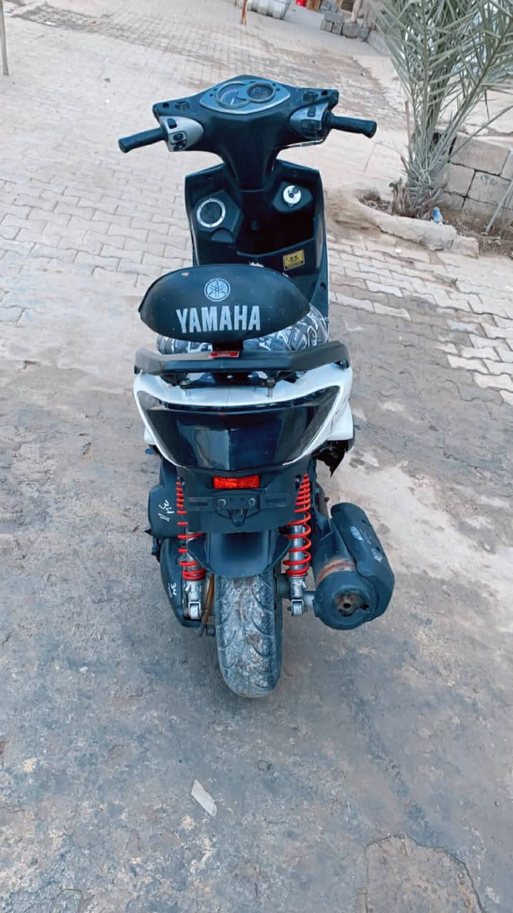 دراجة سكنس  فحل كابريتر كوري  نضافة كفرات ٧٥٪ نكرة سلف   كهربأئيات كلة شغال مكينة ٥٨ سلف رياضي  شرط  شلعة ومعدل   المكان المحمودية السعر ٦٠٠ وبيه مجال الرقم ***********   للشراي اتصل لا تراسل مكلف  بل نشر ***********
