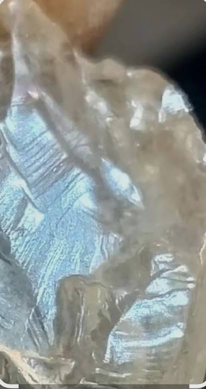 موجود ماس ويقوت الي متاج يشتري موجوده أن شاء الله تعالى


**إذا كنت صاحب هذا الإعلان وتريد حذفه لأي سبب، رجاءا أرسل رسالة إلى الدعم الفني**