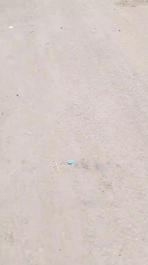 تكتك موديل 21شهر 11تكتك خير من الله ليراا اوراق سعر 4و800 ***********
