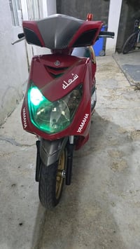 سكنس فحل • مسجل • كاربون