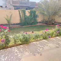 الصويره واسط • ٣٠٠م • سند٢٥