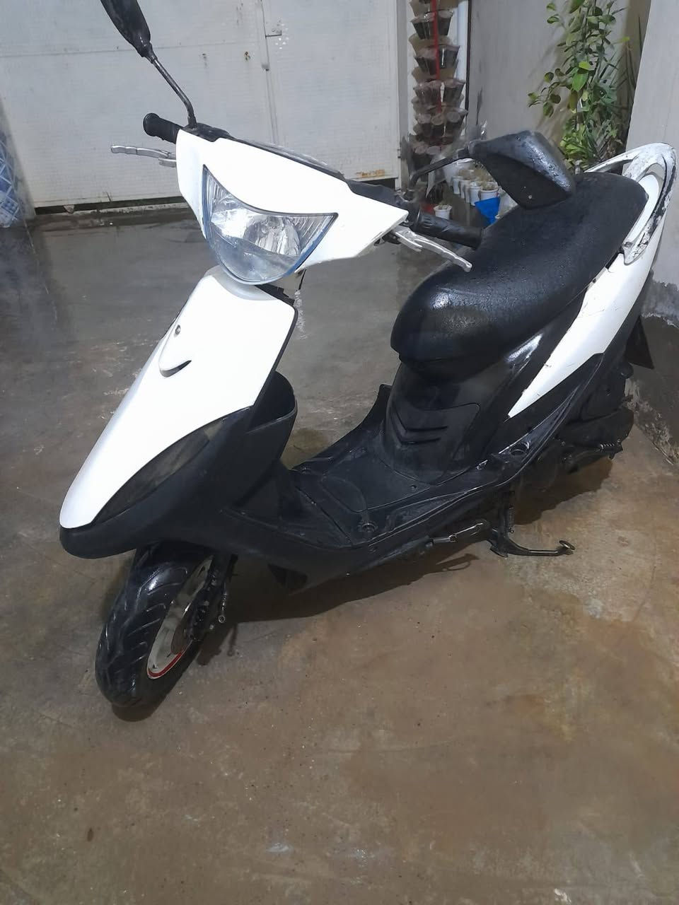 سلام عليكم ماكس عدله 49 للبيع كلهه شغاله بس سلف مدري شخاطه مدري سلف مكاني بعقوبه الجديده سعر 575 وبيه مجال الاستفسار  ***********
