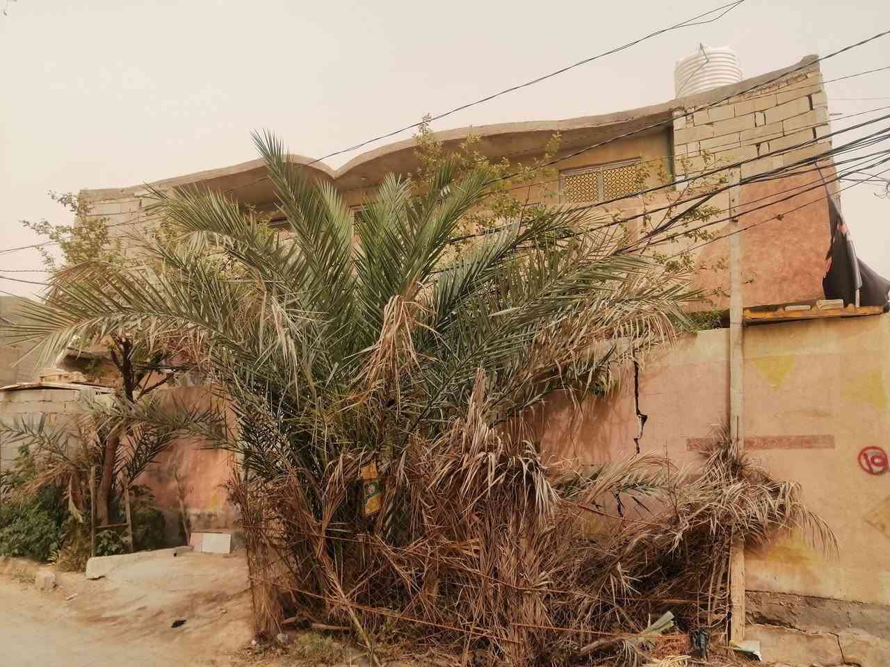 من رخصت الادمن بيت للبيع كربلاء منطقت شبانات طابو زراعي سند 25 مساحه 170م ركن موقع تجاري يبعد عن 2كم عن مركز المدينه السعر 300مليون للاستفسار اكثر هاذ رقمي ***********
